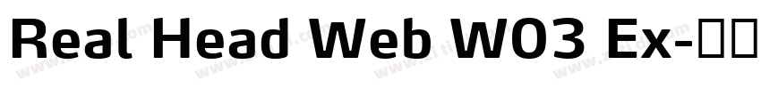 Real Head Web W03 Ex字体转换